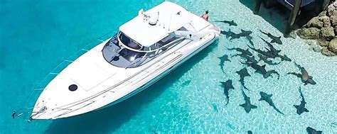 nassau fishing charter|nassau yacht charters.